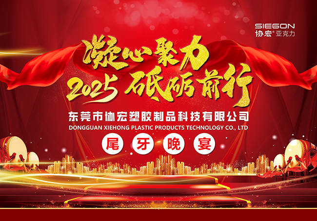 协宏2024 年团年晚宴：共赴盛宴，展望未来